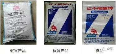 錦旗贈 衛(wèi)士